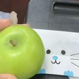 (Category: ) located in . Submitted by ecah.siti (Listing ID 1380590231, Image 1). Description: .
