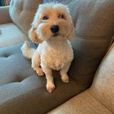 (Category: ) located in . Submitted by sebby2407 (Listing ID 1374698189, Image 1). Description: .