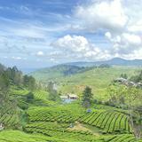 (Kategori: ) berada di . Dikirim oleh tinibell123 (ID iklan 1216710408, Gambar 1). Deskripsi: .