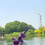 (Category: ) located in . Submitted by hok.tay (Listing ID 1363647955, Image 1). Description: .