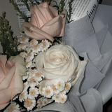 (Kategori: ) berada di . Dikirim oleh dgoodpreloved (ID iklan 1381743948, Gambar 1). Deskripsi: .