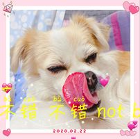 （分類：）位於 。 由 douglasa54219 提交（商品編號 1374282060，圖片 1）。簡介： 。
