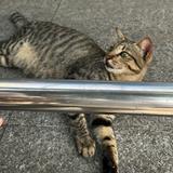 (Kategori: ) berada di . Dikirim oleh myputrii (ID iklan 1348452740, Gambar 1). Deskripsi: .