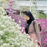 (Category: ) located in . Submitted by nurulsyira_ (Listing ID 1384472138, Image 1). Description: .