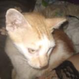 (Category: ) located in . Submitted by paranormal34373 (Listing ID 1376412044, Image 1). Description: .