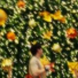 (Category: ) located in . Submitted by itsweiiiiiiiiii (Listing ID 1378125556, Image 1). Description: .