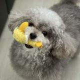 （分類：）位於 。 由 coco11152013 提交（商品編號 1243584985，圖片 1）。簡介： 。
