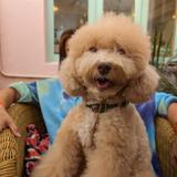 （分類：）位於 。 由 daisybob 提交（商品編號 1365421184，圖片 1）。簡介： 。