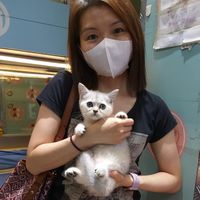 （分類：）位於 。 由 eriko 提交（商品編號 1338108800，圖片 1）。簡介： 。