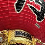 由 loverjan2067905 (刊登 ID 1340432727，圖片 1) 提交，位於 的 (類別：)，說明：。