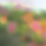(Category: ) located in . Submitted by zihui.died (Listing ID 1443045247, Image 1). Description: .