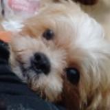 (Category: ) located in . Submitted by kate92653 (Listing ID 1464551158, Image 1). Description: .