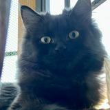 (Category: ) located in . Submitted by kirsten.ph (Listing ID 1374497376, Image 1). Description: .