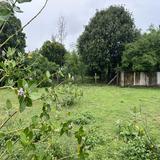 (Category: ) located in . Submitted by mithul (Listing ID 1451370267, Image 1). Description: .