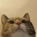 (Category: ) located in . Submitted by sg.queenie (Listing ID 1380626340, Image 1). Description: .