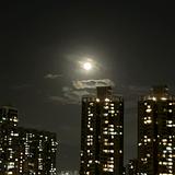 （分類：）位於 。 由 beyourprincess_886 提交（商品編號 1362532227，圖片 1）。簡介： 。