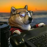 （分類：）位於 。 由 kendoge130 提交（商品編號 1351242022，圖片 1）。簡介： 。