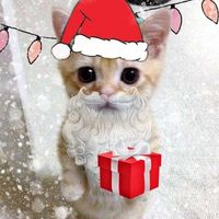 (Category: ) located in . Submitted by reganionlevan (Listing ID 1450335146, Image 1). Description: .