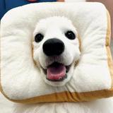 (Category: ) located in . Submitted by unicxrns (Listing ID 1365681305, Image 1). Description: .