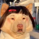 頭像