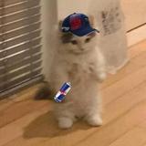 (Category: ) located in . Submitted by miriaaa (Listing ID 1413081024, Image 1). Description: .