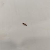(Category: ) located in . Submitted by eems63 (Listing ID 1368530650, Image 1). Description: .