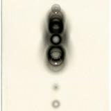 由 effy3 (刊登 ID 1382204045，圖片 1) 提交，位於 的 (類別：)，說明：。