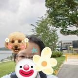 (Category: ) located in . Submitted by sekio88369mastuda (Listing ID 1381361021, Image 1). Description: .