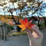 （分類：）位於 。 由 ssiio_cc 提交（商品編號 1305963709，圖片 1）。簡介： 。