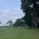 (Category: ) located in . Submitted by xt1106 (Listing ID 1334242432, Image 1). Description: .
