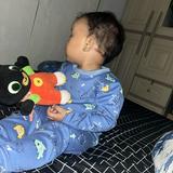 (Kategori: ) berada di . Dikirim oleh ammaeziel (ID iklan 1385199128, Gambar 1). Deskripsi: .