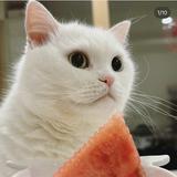 由 ilovemelody888 (刊登 ID 1262388962，圖片 1) 提交，位於 的 (類別：)，說明：。
