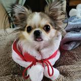 (分類:)位於 。 由 chaess 提交(商品編號 1370898164,圖片 1)。簡介: 。