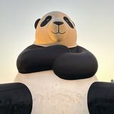 (Kategori: ) berada di . Dikirim oleh pandabearhorse (ID iklan 1379402277, Gambar 1). Deskripsi: .