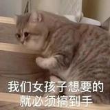 由 h97643116 (刊登 ID 1380303293，圖片 1) 提交，位於 的 (類別：)，說明：。