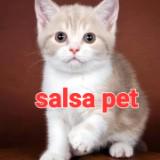 (Category: ) located in . Submitted by ming80655919 (Listing ID 1334843669, Image 1). Description: .