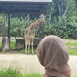 (Category: ) located in . Submitted by fathia_faisal (Listing ID 1456242625, Image 1). Description: .