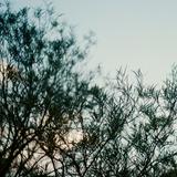 （分類：）位於 。 由 filmholic222 提交（商品編號 1278563825，圖片 1）。簡介： 。