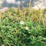 （分類：）位於 。 由 aryellow 提交（商品編號 1365883467，圖片 1）。簡介： 。