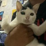 (Kategori: ) berada di . Dikirim oleh jonjinjon (ID iklan 1357359459, Gambar 1). Deskripsi: .