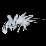 (Category: ) located in . Submitted by mothmothshop (Listing ID 1448743993, Image 1). Description: .