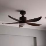 (Category: ) located in . Submitted by switch2716 (Listing ID 1203498058, Image 1). Description: .