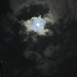 （分類：）位於 。 由 gnop_gnop 提交（商品編號 1382889208，圖片 1）。簡介： 。