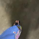 (Category: ) located in . Submitted by norbhyh (Listing ID 1382875985, Image 1). Description: .