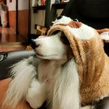 頭像