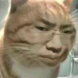 （分類：）位於 。 由 isxavier 提交（商品編號 1384032643，圖片 1）。簡介： 。
