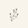 (Category: ) located in . Submitted by alyaaa21l (Listing ID 1378481176, Image 1). Description: .