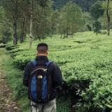 (Kategori: ) berada di . Dikirim oleh cumvestt (ID iklan 1354807509, Gambar 1). Deskripsi: .