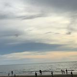 (Category: ) located in . Submitted by litterstar (Listing ID 1354080812, Image 1). Description: .