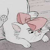 由 meimei.11 (刊登 ID 1334924837，圖片 1) 提交，位於 的 (類別：)，說明：。